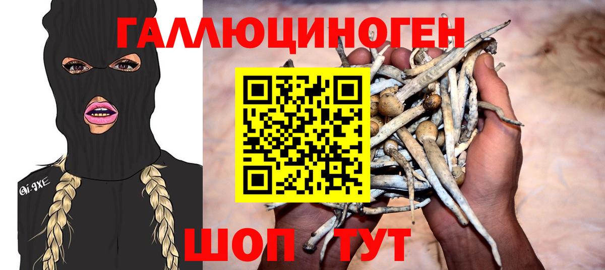 Галлюциногенные грибы мицелий Нефтекамск